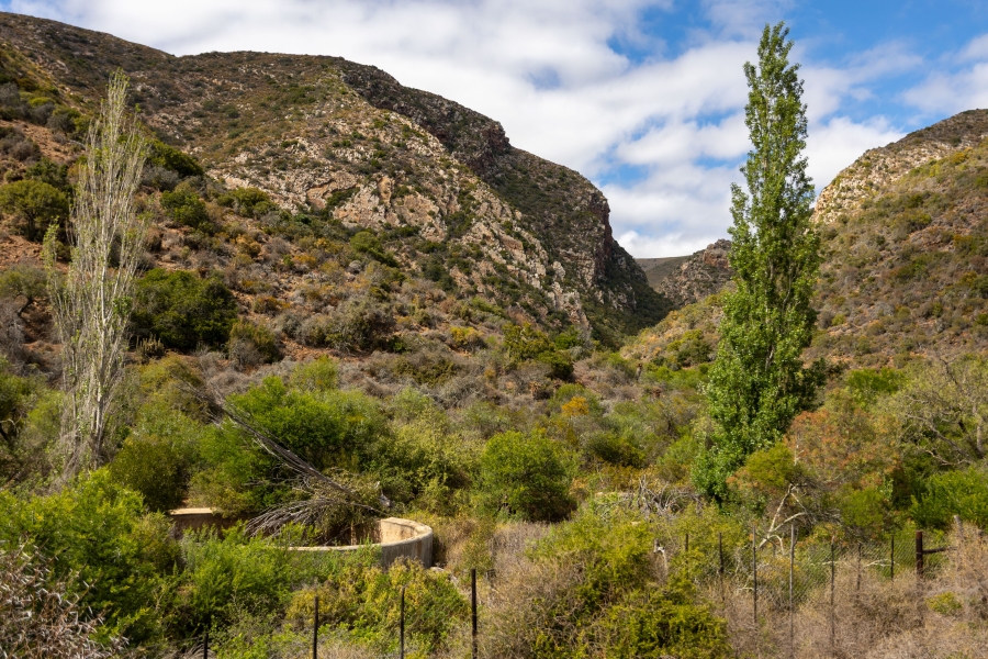 5 Bedroom Property for Sale in Uitenhage Rural Eastern Cape